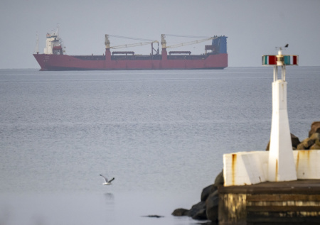 Таможенники провели «разведку» на вставшем у берегов Швеции судне из РФ