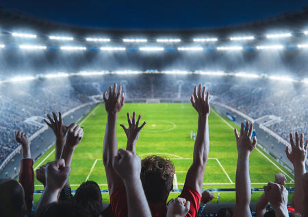 В Госдуме раскрыли, ждать ли возвращения пива на стадионы к Новому году