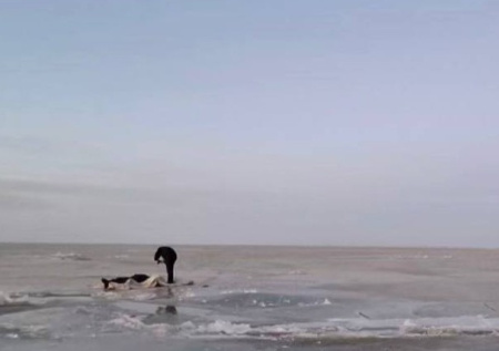 Два рыбака погибли после передвижения по льду на машине