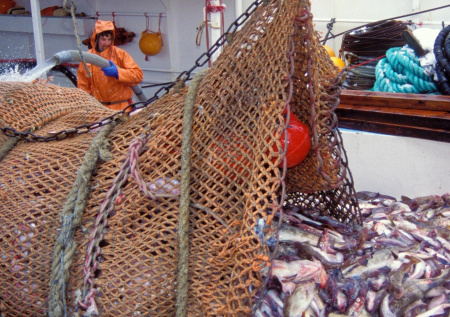 Евросоюз сметает санкционную российскую рыбу