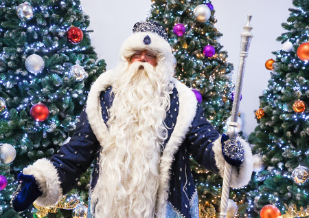 В Госдуме назвали лучшее качество Деда Мороза