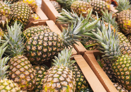 Четыре шага, которые помогут выбрать сладкий ананас в магазине: признаки спелого фрукта