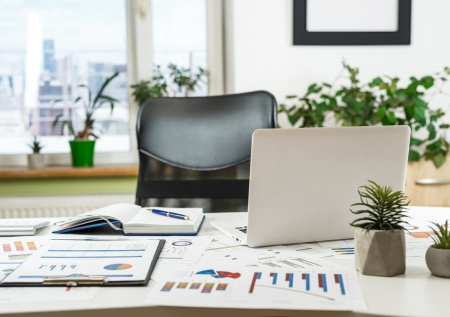 Юрист ответил, что грозит за украшение рабочего места цветами