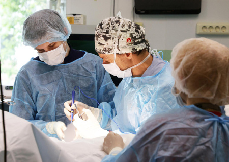 Ветеринары из Москвы спасли котенка с неразвитой брюшной стенкой