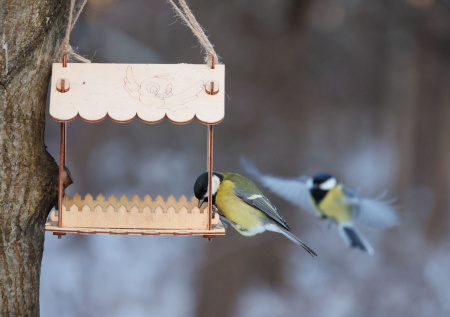 Погода в Москве в среду, 24 декабря: к Новому году вернется оттепель?