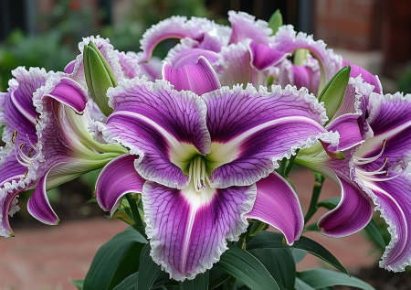 Мечта ленивого садовода: посадил один раз — и он цветет десятилетиями в любых условиях