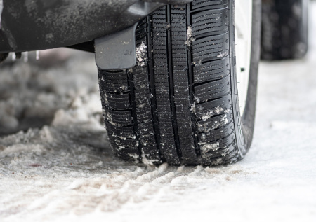 В  Сарыагаше водитель сбил новогоднюю елку и скрылся с места ДТП