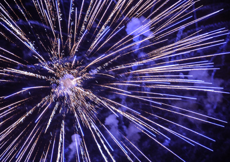 Россиянам объяснили, как встретить Новый год без вреда для природы