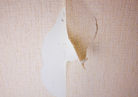 Раскрыто, что ждет россиянку за разгром проданного по «схеме Долиной» жилья