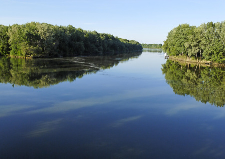 Уклонисты бегут из Украины в Румынию и массово умирают