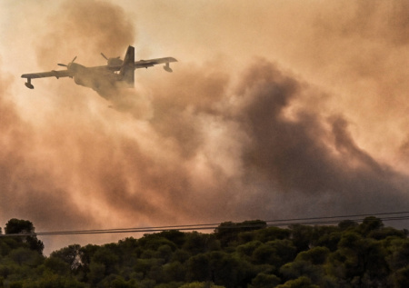 Опубликовано видео с места крушения самолета с главой генштаба Ливии