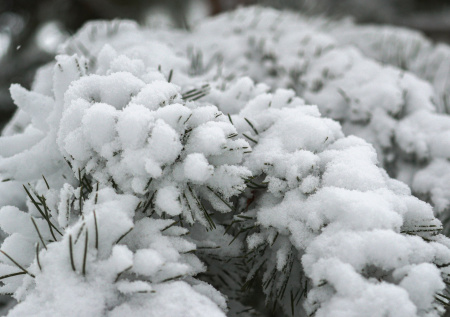 Экстремальные морозы пришли в Якутию