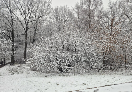 Синоптик Тишковец: снег накрыл 99% территории России