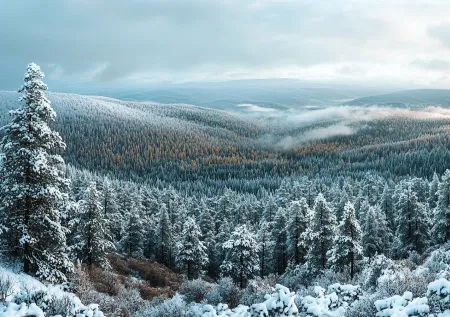 «Серьезные ранения»: крионист о шансах Усольцевых на выживание
