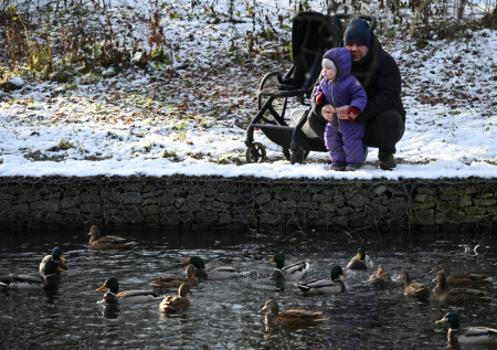 Утки стали жертвами экологической катастрофы