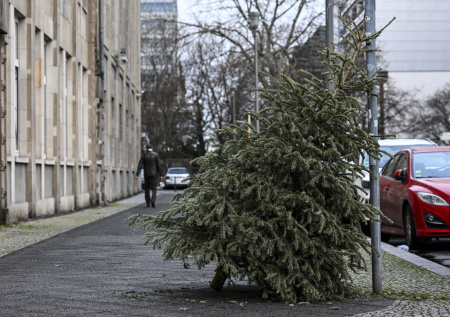В МИД раскрыли причину отсутствия денег на рождественские елки в Берлине