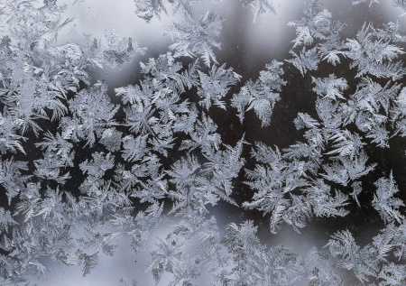 Тюменских школьников перевели на актированный день
