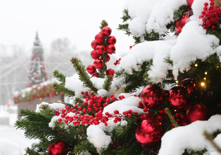 От +4 до –50 на Новый год: какая погода будет в РФ с 29 декабря по 4 января