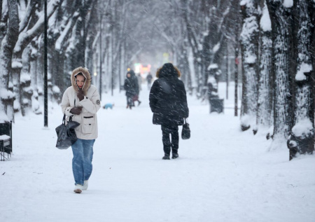 Ледяные иглы, ветер и до −30: погода в Москве и Питере на новогодней неделе
