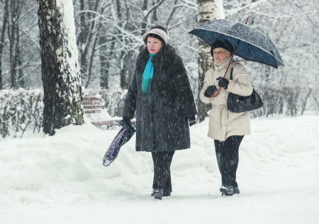 Погода в Москве в субботу, 27 декабря: ждать ли сильного холода и снегопада