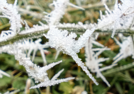 Синоптик спрогнозировал ледяные иглы и -17 в новогоднюю ночь в Петербурге