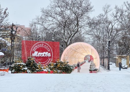 Синоптик Ильин рассказал, какой будет погода в новогоднюю ночь в Москве