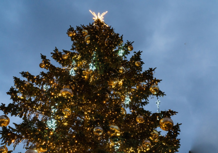 Елочка, гори: как самый русский город Эстонии бросил вызов русофобии