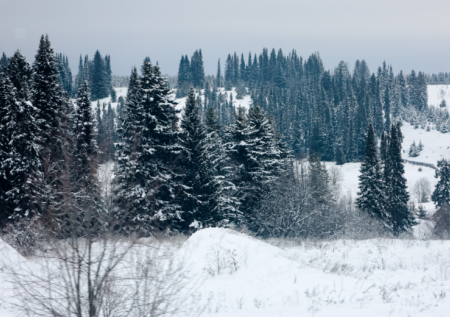 Названо место возобновления поисков пропавшей семьи Усольцевых