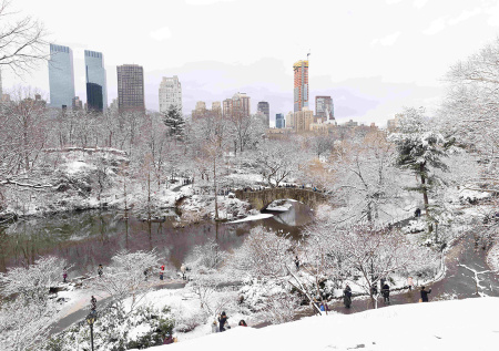 Снежный шторм отменил почти две тысячи рейсов в одной стране