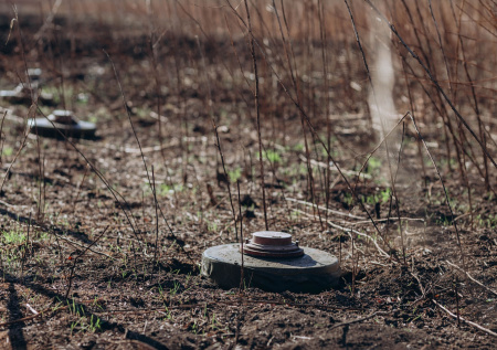 Литва сняла табу на противопехотные мины