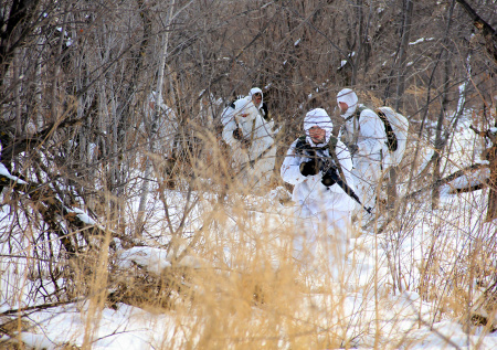 Удары ВС России «раздавили» позиции «Азова»
