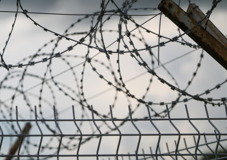 Россиянин получил полгода колонии строгого режима из-за колбасы