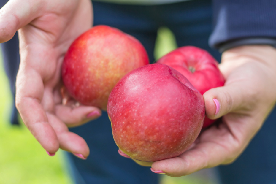 Памятные даты и исторические события 1 января