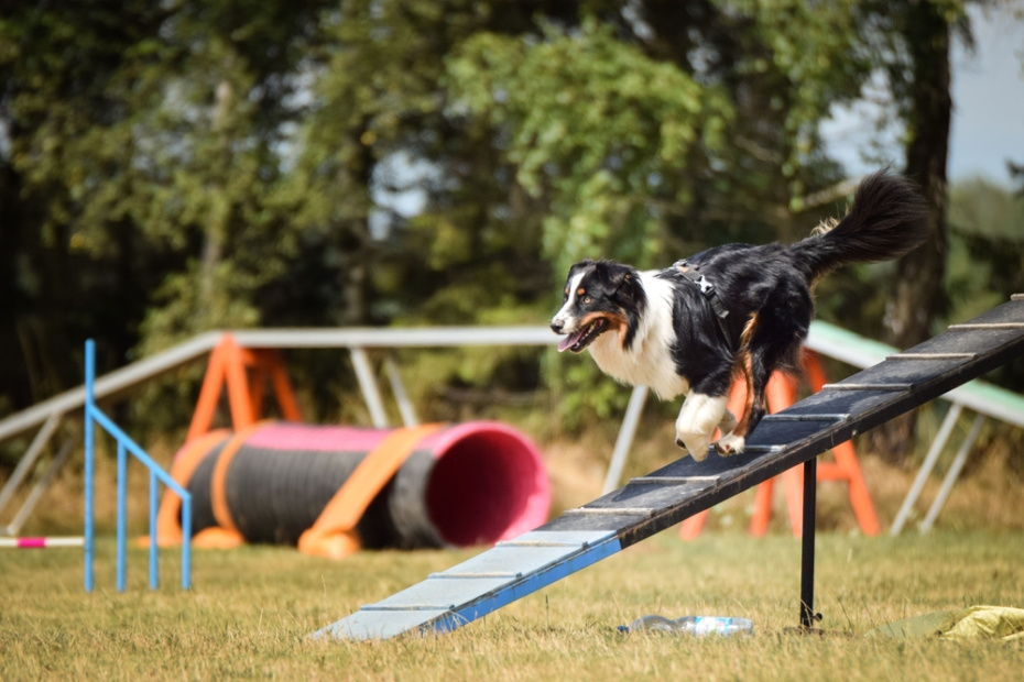 Как устроены площадки: покрытие, ограждение, снаряды