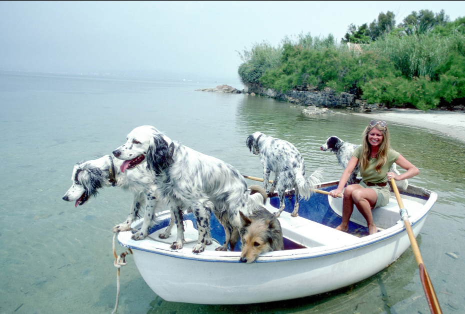 Брижит Бардо, 1980 год