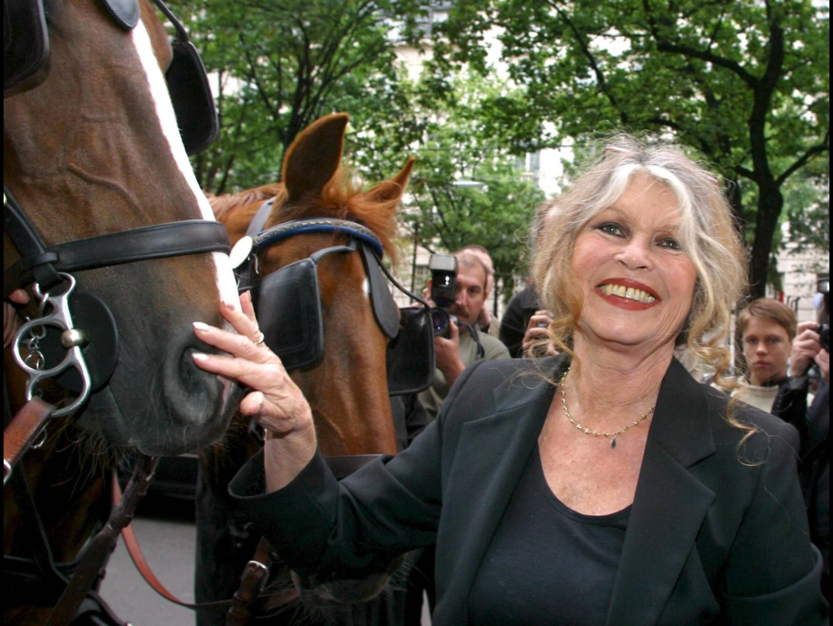 Брижит Бардо, 2002 год