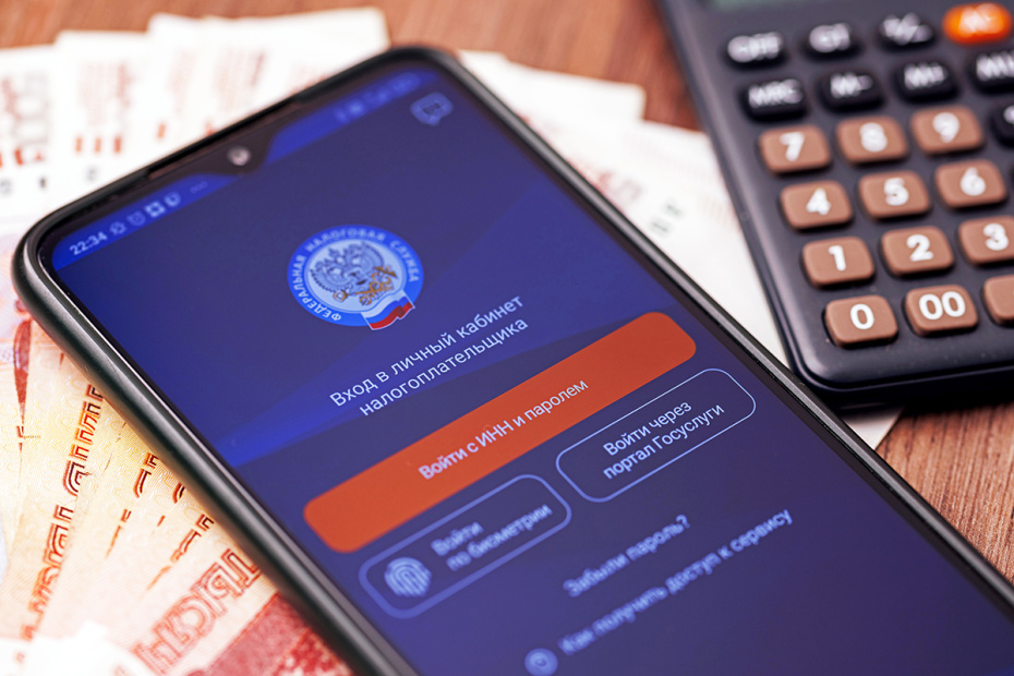Мобильное приложение «Налоги ФЛ» на экране смартфона