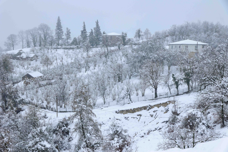 Снежная погода в горах Абхазии
