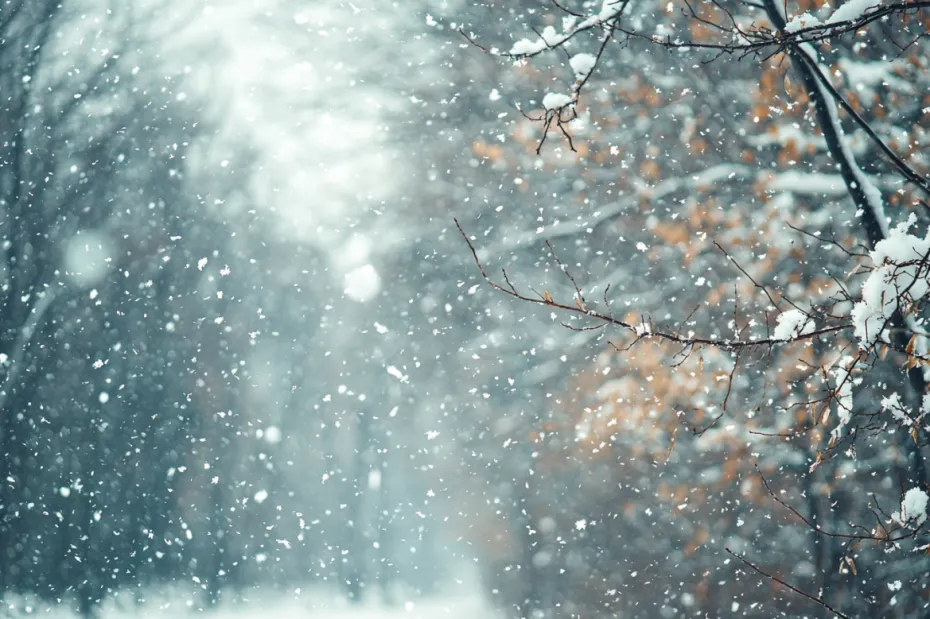 Погода по приметам 12 января