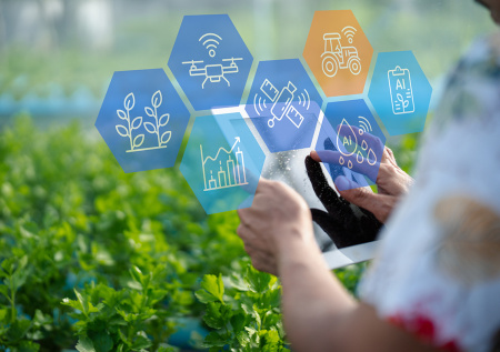 Парализованный китаец одним пальцем создал «умную ферму» и открыл бизнес