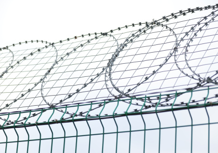 Россиянина отправили на строгий режим за миллион для сотрудника ФСБ