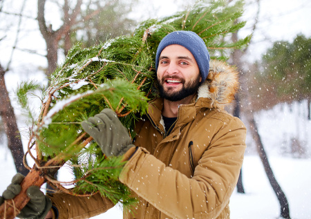 Иммунолог оценила опасность натуральных елок для аллергиков