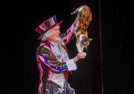 Кошки Куклачева отказались от работы после его госпитализации