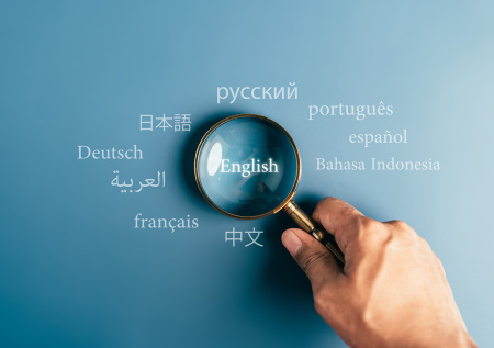 Названы самые популярные языки в мире