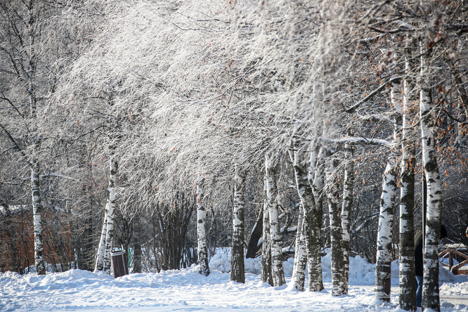 Народные приметы 13 января