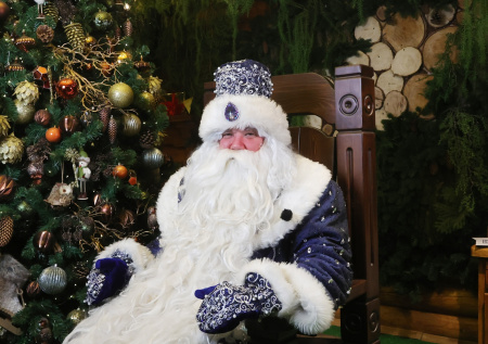 В Госдуме объяснили юридические тонкости найма Деда Мороза