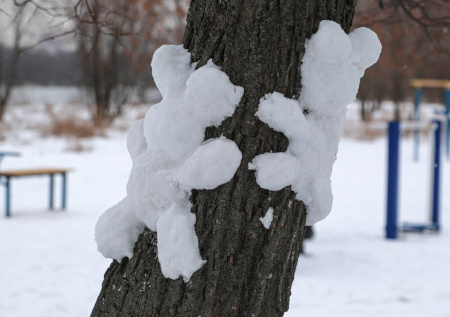 Москвичам рассказали, какая погода будет в столице на Рождество