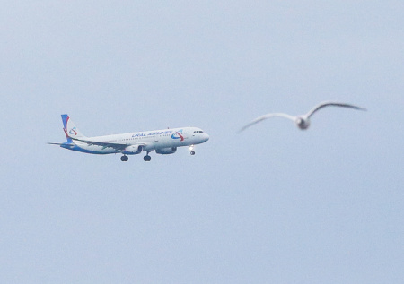 Авиакомпания раскрыла правду о «самолете-призраке» со 150 россиянами