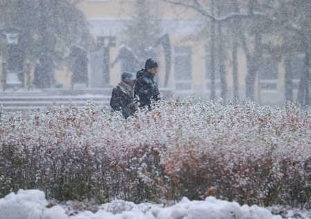Погода в Москве в четверг, 1 января: ждать ли сильных морозов и снегопада