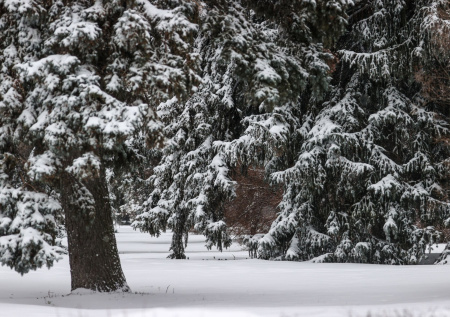 Синоптик назвал самый холодный день новогодних праздников в Москве